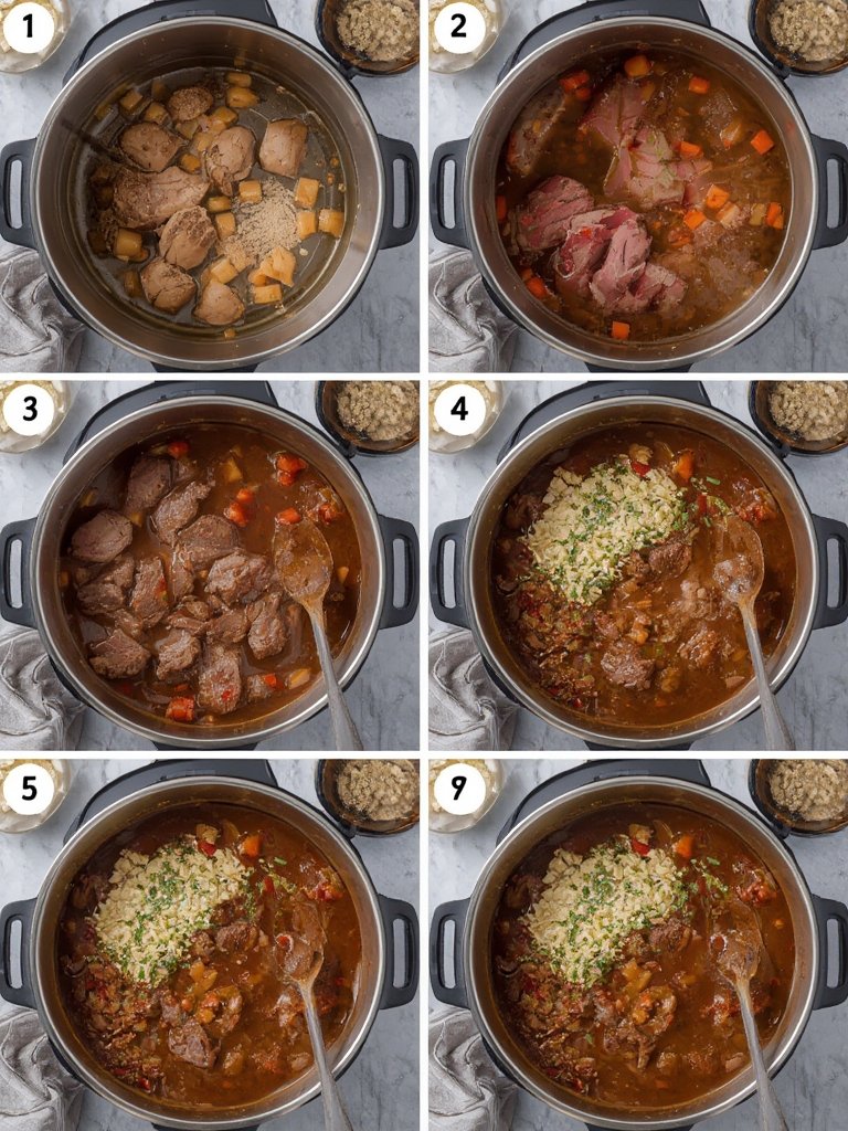 Step-by-step visuals of searing beef, adding vegetables, and simmering the stew